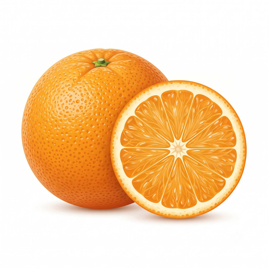 Vitamin B6 (P-5-P)