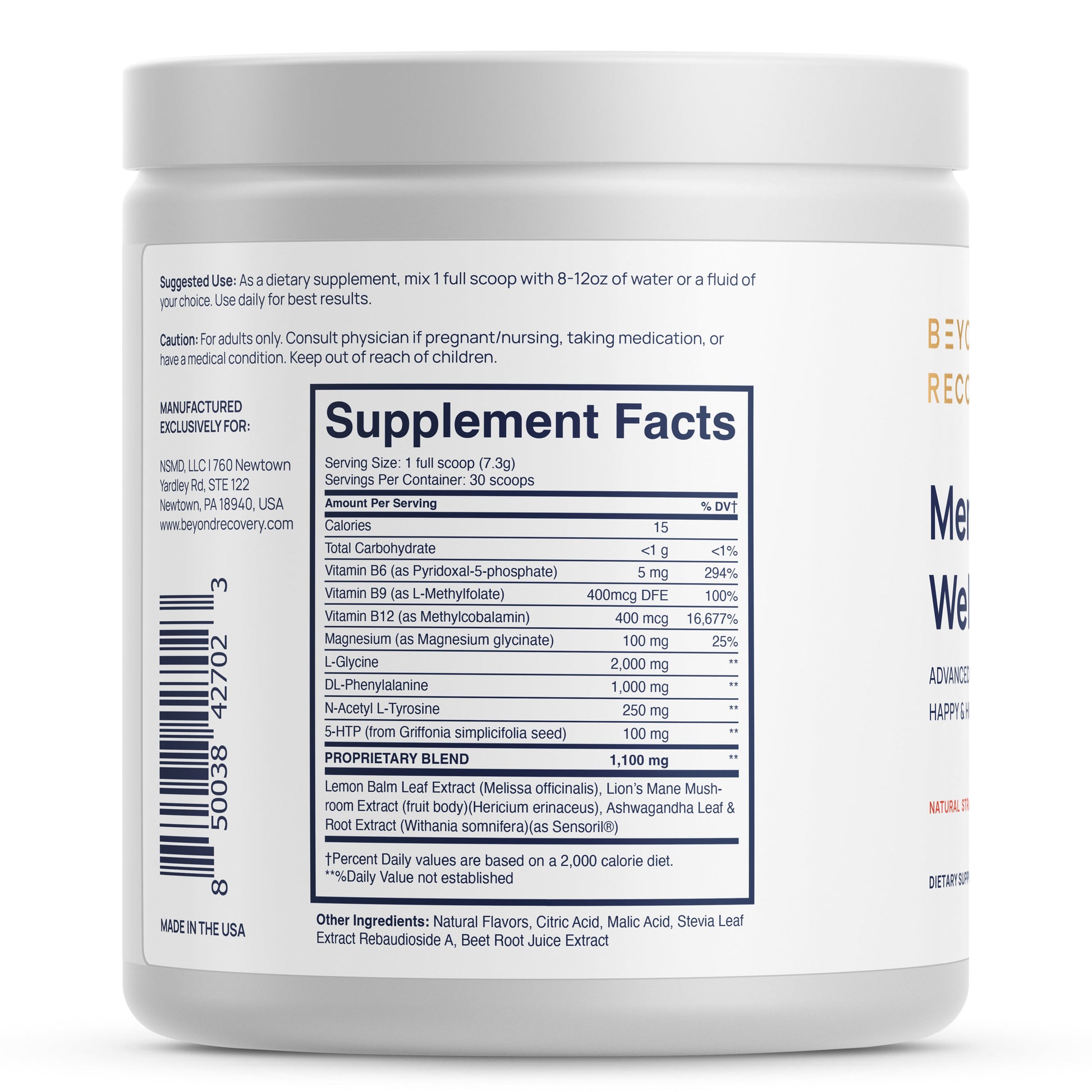 Beyond Recovery Mental Wellness Mood stress brain supplement vitamins lions mane brain health