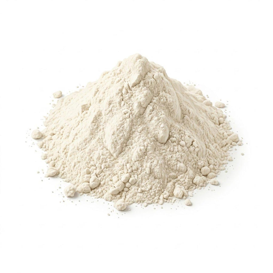 N-Acetyl Cysteine (NAC)