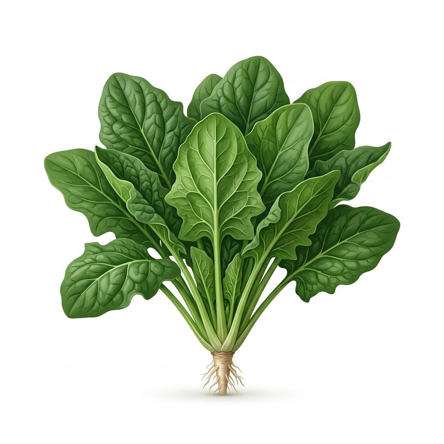 Vitamin K2