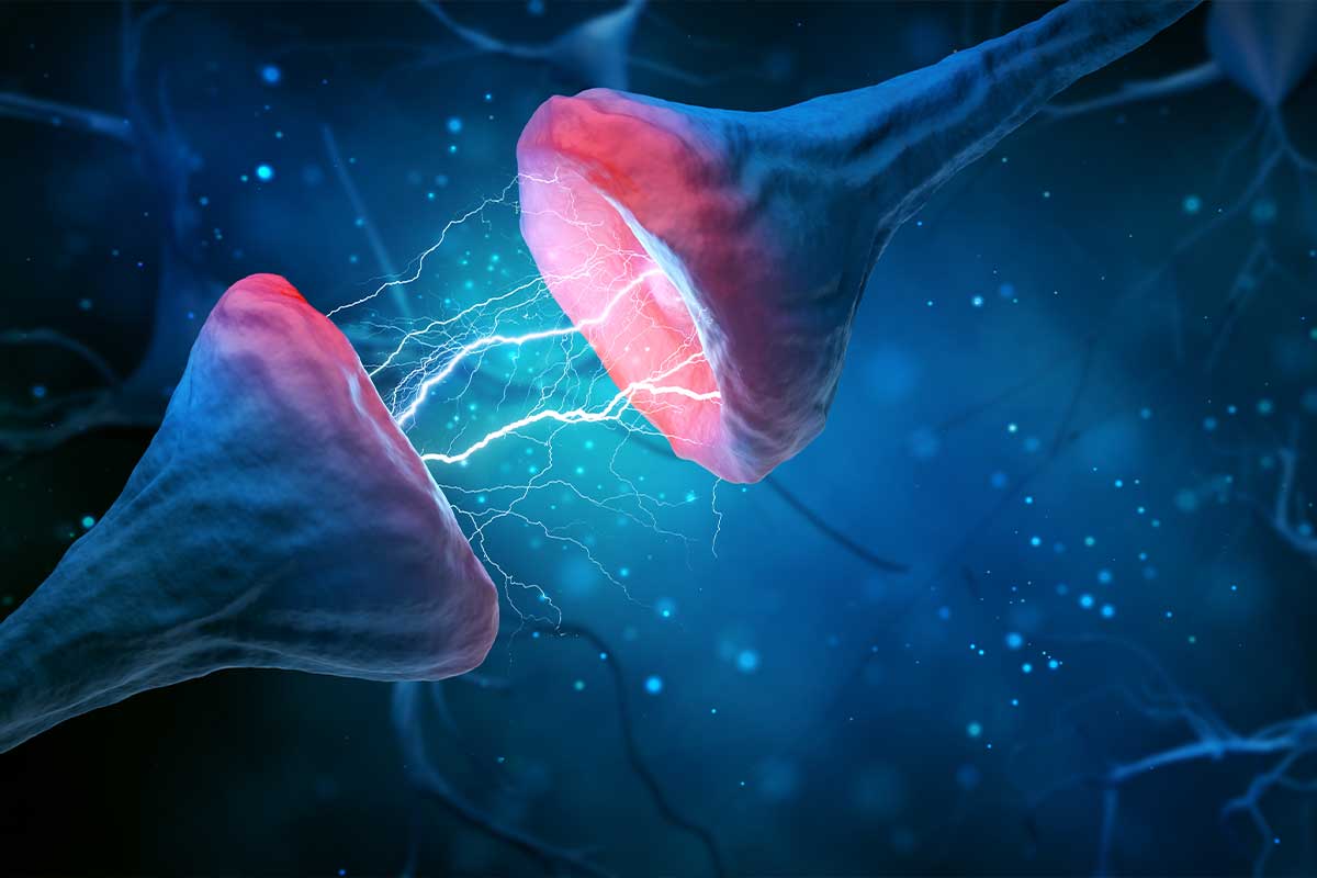 Supports Healthy Brain Function*